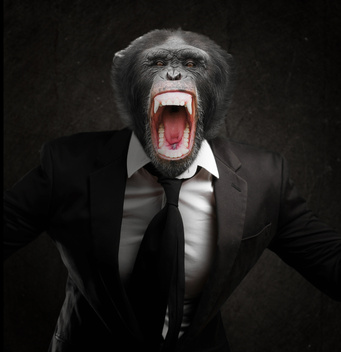 Frustrated Monkey In Business Suit Isolated On Black Background